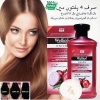 WELLICE SHAMPOO 400G